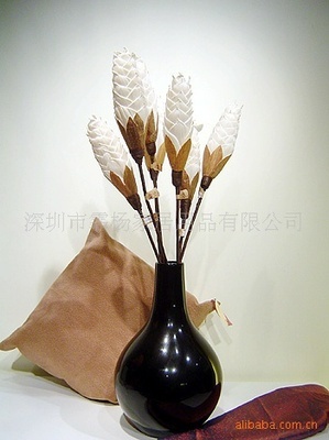 家居美學(xué)新藍海 高端植物干花與仿真花區(qū)域代理招募計劃